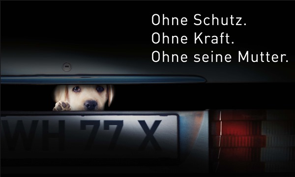 Stoppt den illegalen Welpenhandel