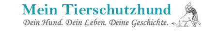 Mein Tierschutzhund